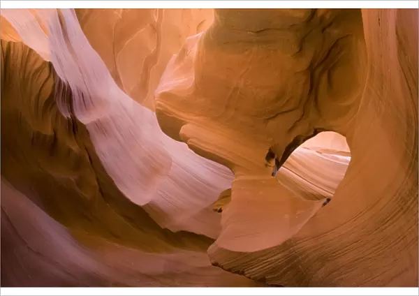 USA - Light that penetrates into the narrow canyon walls creates beautiful hues on the graceful curves of sandstone rock in the Lower Antelope Canyon, probably the most famous 'slot canyon' in the Southwest. Antelope Canyon