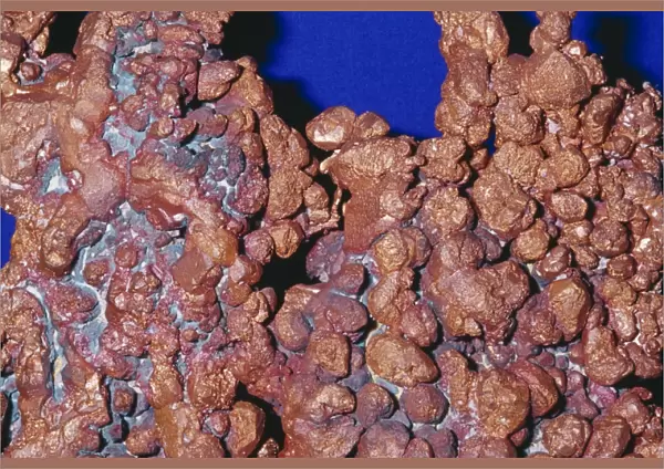 Copper (native element) Bisbee, Cochise County, Arizona
