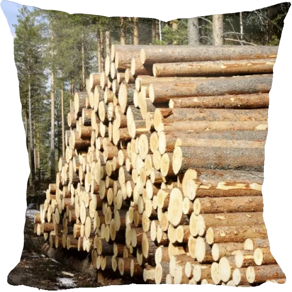 Finland - forest with pile of cut tree trunks