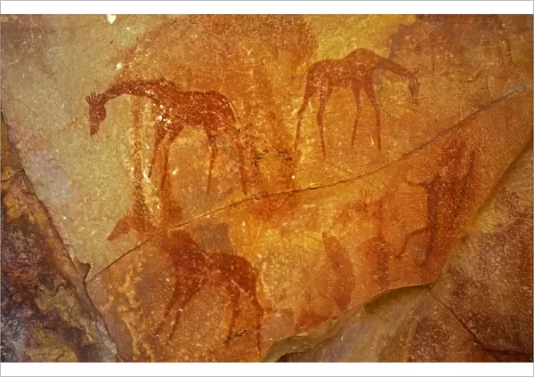 Prehistoric Rock Painting - Zimbabwe Africa