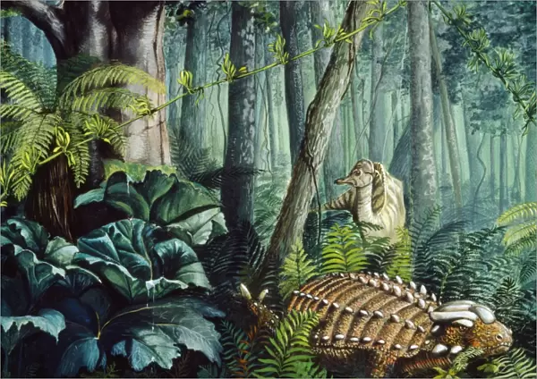 Dinosaur Illustration - Anklyosaurus - family Anklyosauridae - herbivore - heavily armoured - Background Hypacrosaurus - late Cretaceous period (144m yrs ago) - family Handrosauridae - Lambeosaurine duckbills group - herbivore