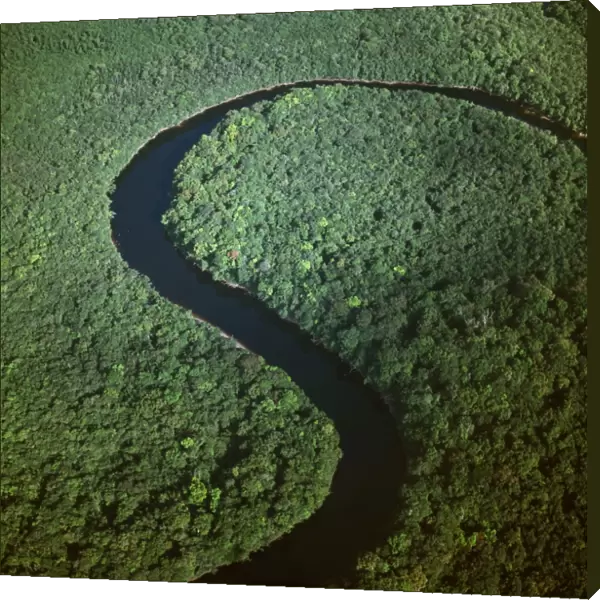 Aerial image of Guyana, South America: Kako River, Upper Mazaruni District