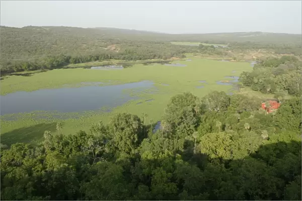 INDIA - Padam Talao, Aerial view of lakeside forest after the monsoon Ranthambhore NP, Rajasthan, India