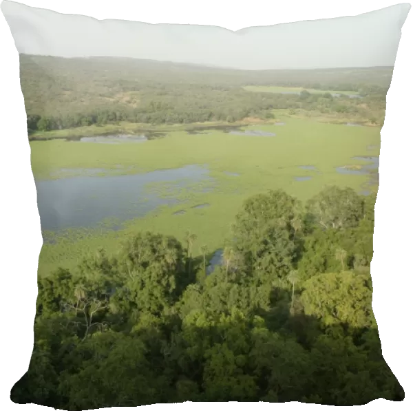 INDIA - Padam Talao, Aerial view of lakeside forest after the monsoon Ranthambhore NP, Rajasthan, India