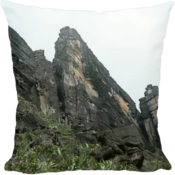 Mount Kukenaam (Kukenan, Kukenan, Cuguenan), Venezuela, Estado Bolivar: ascent point showing the chessman