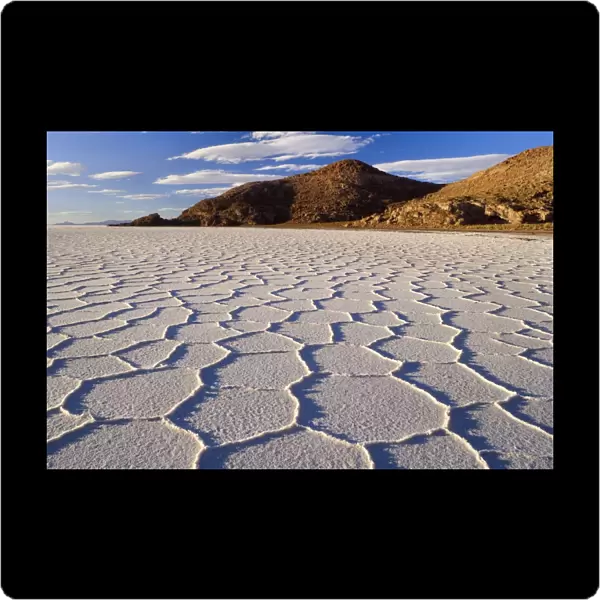 Salar de Uyuni - polygonal salt pattern on dried up salt lake in late evening light - Salar de Uyuni - Altiplano - Bolivia - South America