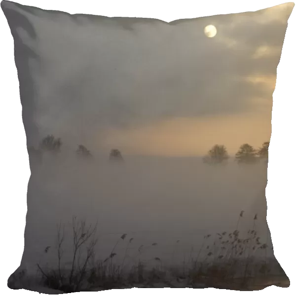Landscape Overijssel NL with fog
