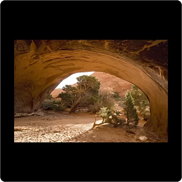 Arches National Park, Utah: Navajo Arch, Sandstone