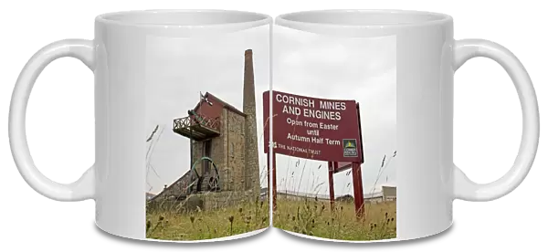 Cornish Mines and Engines Pool near Camborne Cornwall UK