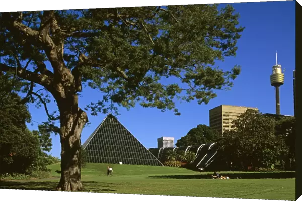 The Glass Pyramid (a hothouse) in Royal Botanic Gardens Sydney, New South Wales, Australia JPF50210