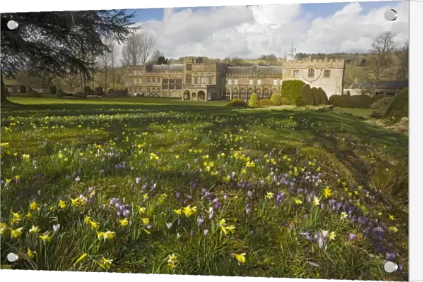 Forde Abbey, Dorset, in early spring, with daffodils, crocuses etc. Originally a medieval Cistercian Abbey