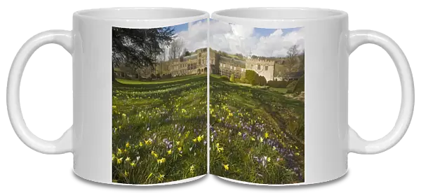 Forde Abbey, Dorset, in early spring, with daffodils, crocuses etc. Originally a medieval Cistercian Abbey