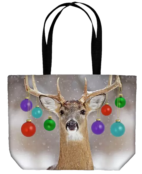 White-tailed Deer - buck in winter snow Digital Manipulation: added right hand side & removed tree - baubles Su - Wreath FEU