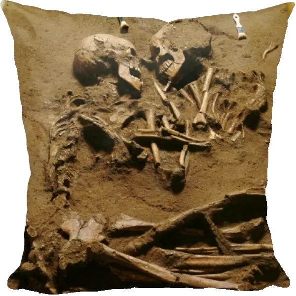 Prehistoric skeletons E439  /  0127