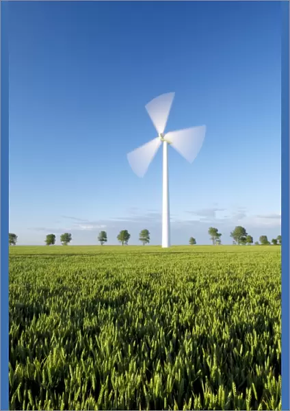 Wind turbine in wheat field