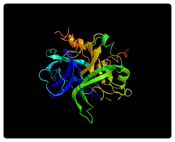 Thrombin protein, secondary structure