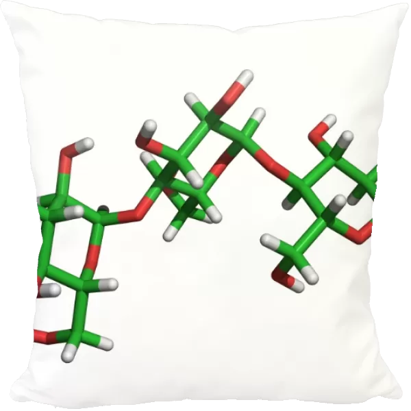 Amylose molecule