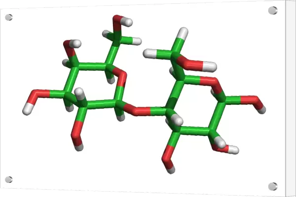 Lactose molecule