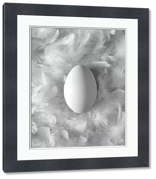 Egg on feathers, conceptual image