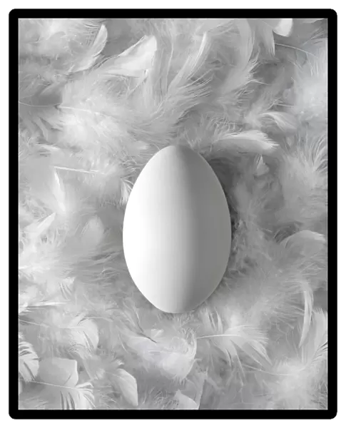 Egg on feathers, conceptual image