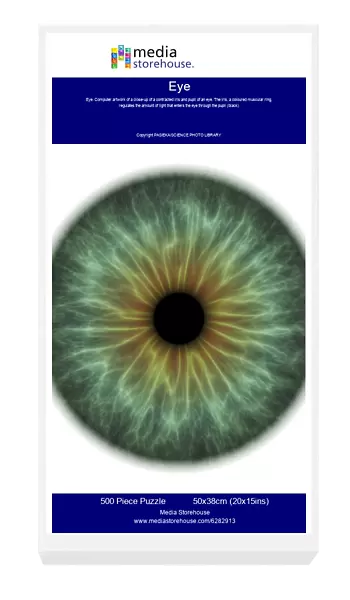 Eye. Computer artwork of a close-up of a contracted iris and pupil of an eye