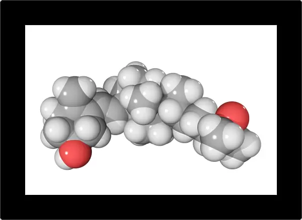 Calcitriol molecule