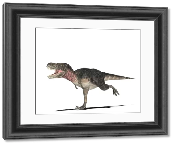 Tarbosaurus dinosaur, computer artwork