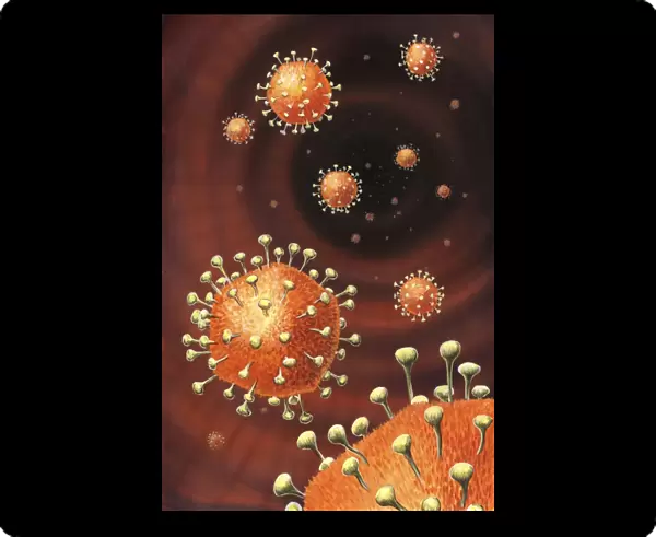 Coronavirus particles, artwork