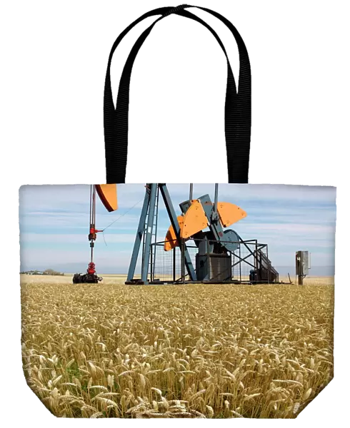 Oil pump in a wheat field