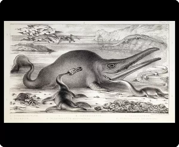 1858 Prehistoric marine reptiles