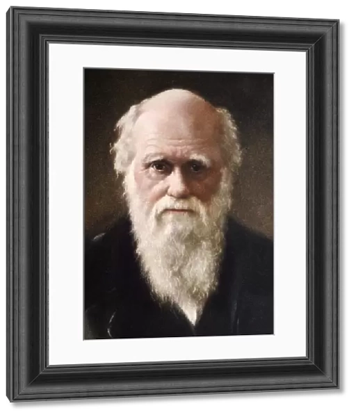 1881 Charles Darwin Face portrait