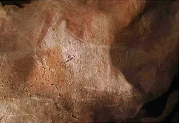 Stone-age cave art, Asturias, Spain