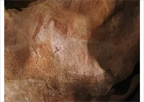 Stone-age cave art, Asturias, Spain