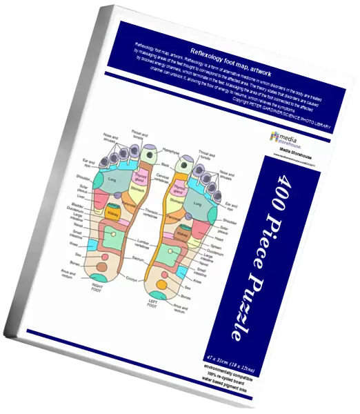 Reflexology foot map, artwork