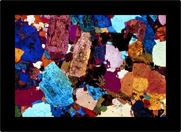 Polarised LM of grain diorite in thin section