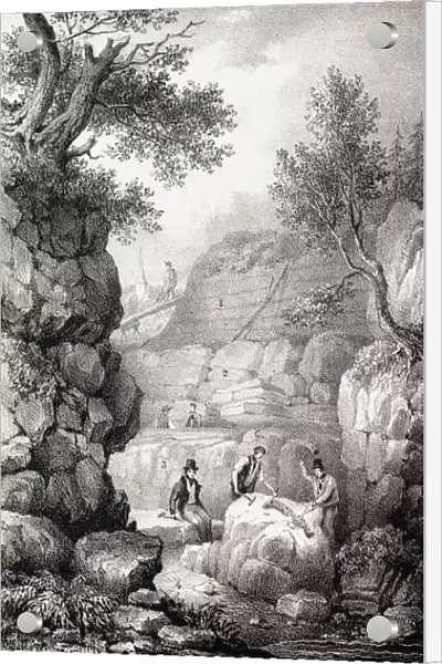 1833 Gideon Mantell Tilgate dinosaurs