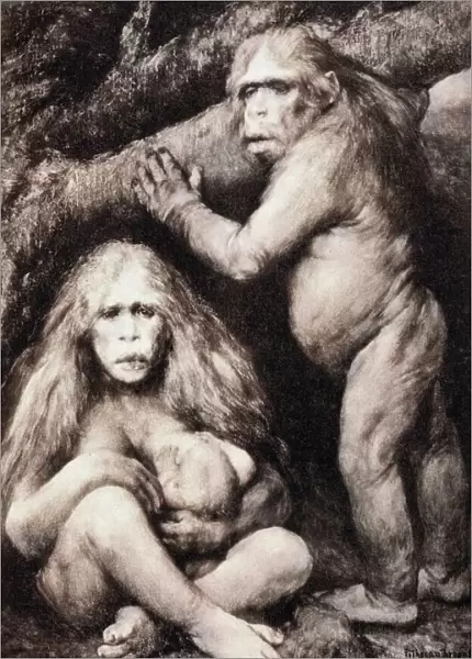 1894 Haeckel Pithecanthropus ape man crop