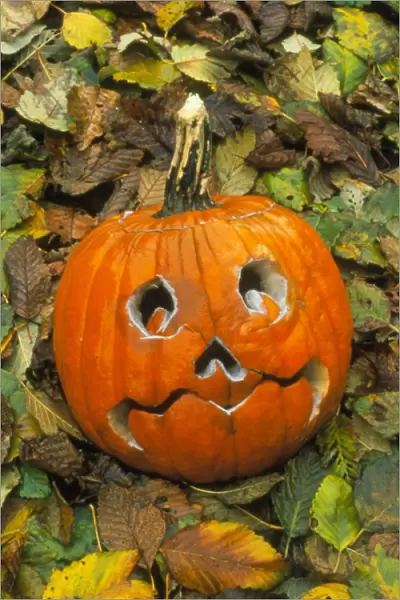 Pumpkin cut into Halloween lantern
