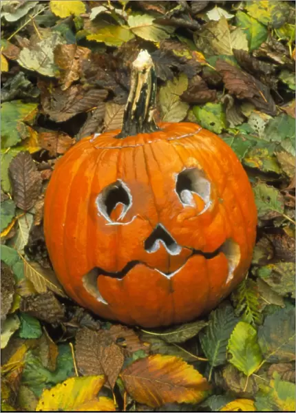 Pumpkin cut into Halloween lantern