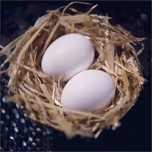 Eggs. Two large white eggs in a straw nest