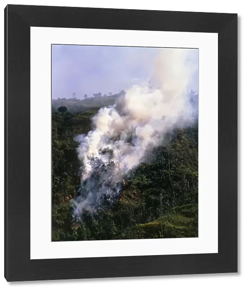 View of a forest fire in the Amazonian rainforest