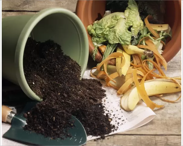 Compost made from kitchen waste. Compost is a mixture of decaying organic