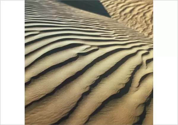 Rippled sand dunes