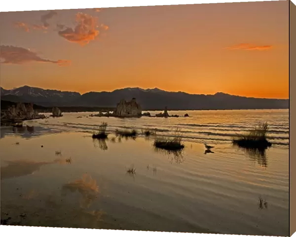 Lake Mono at sunset