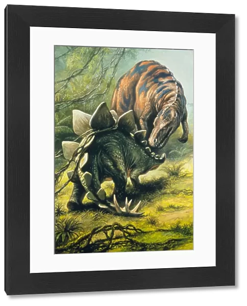 Artists impression of Tyrannosaurus & Stegosaurus
