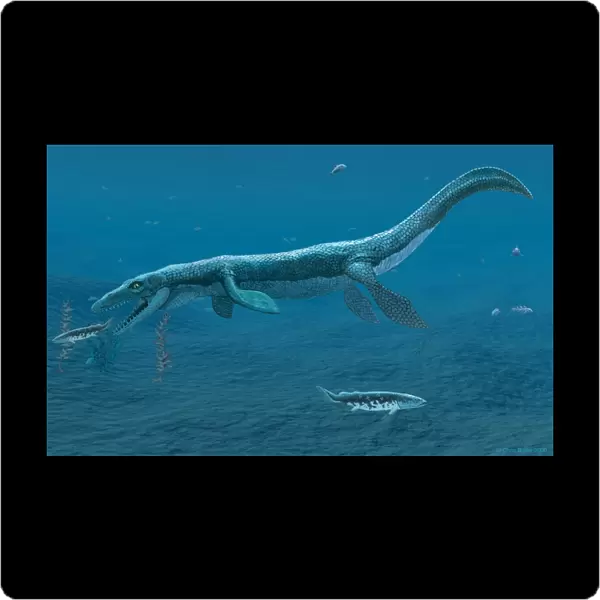 Mosasaurus marine reptile