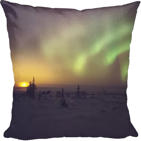 Aurora borealis display with setting Moon