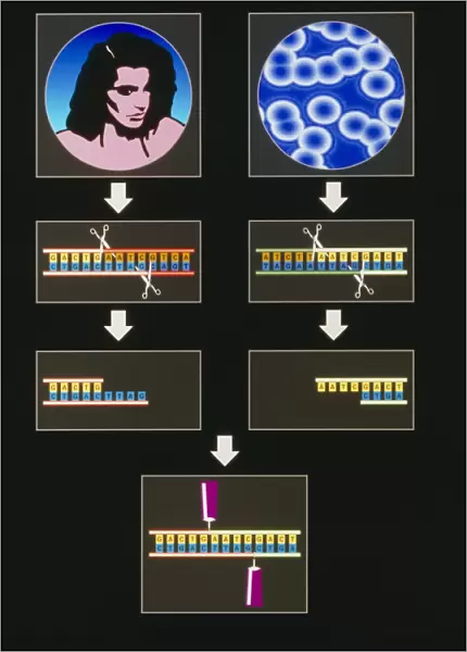 Computer artwork of genetic engineering process