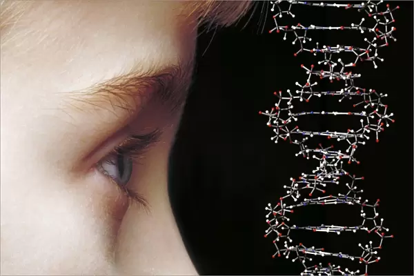 Young childs face and DNA molecule