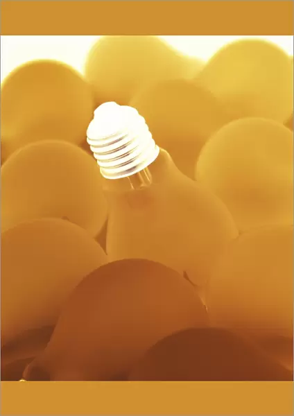 Electric light bulbs